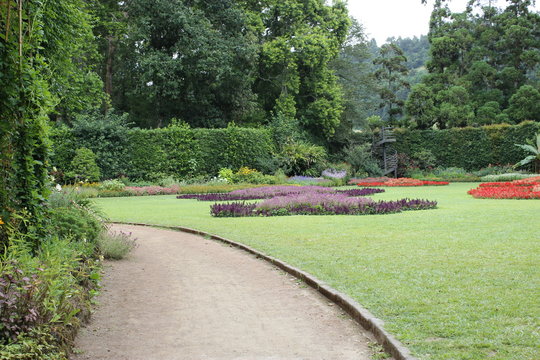 Parque Terra Nostra, A&ccedil;ores