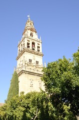 Bell tower surrounded by trees in Cordoba, Spain