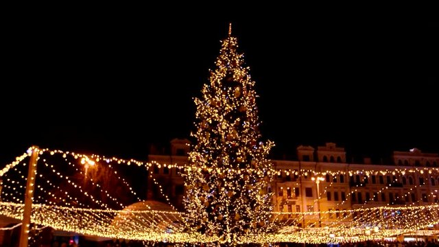 Big Christmas tree with many lights. Artificial Christmas tree.