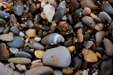 Stones of a bright multicolored moist pebble with particles of sand and algae lie scattered on the shore. Soft focus.