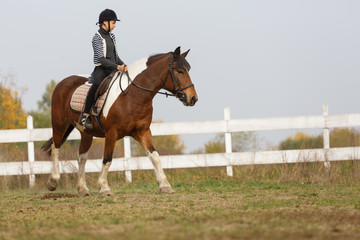 Obraz premium Joy of riding - young girl ride her horse in the yard