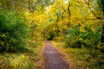 Family in an autumn park