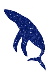 Big blue cosmic starry whale