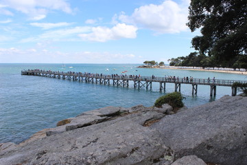 Fototapeta na wymiar noirmoutier