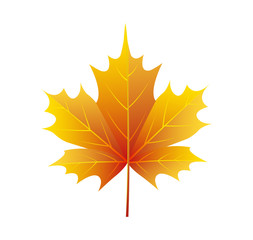 Naklejka na ściany i meble Autumn Golden Yellow Leaf Vector Illustration Logo