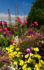 Massif de fleurs