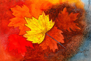 Fallen autumn leaves