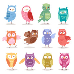 Owls vector cartoon cute bird set cartoon owlet character kids animal baby art for children owlish collection isolated on white background