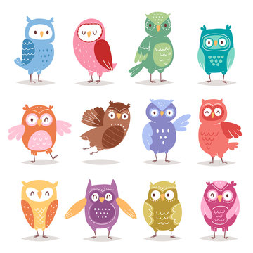 Owls vector cartoon cute bird set cartoon owlet character kids animal baby art for children owlish collection isolated on white background