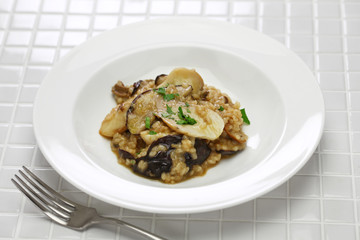 fresh porcini mushroom risotto