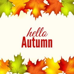 Autumn leaves frame an text on white backgground, vector illustration