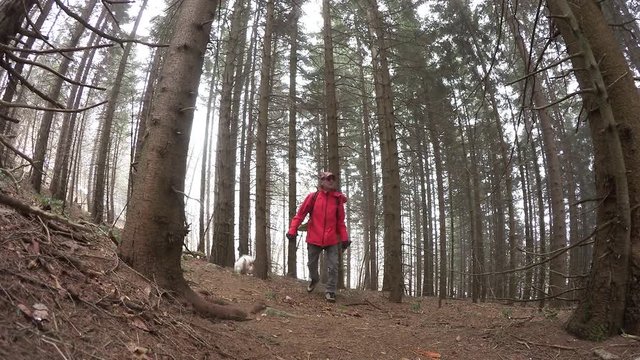 Passeggiata nel bosco