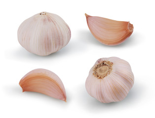 Garlic set isolated on white background