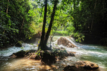 Obraz premium The River