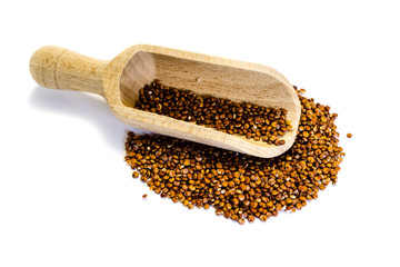 Roter Quinoa isoliert freigestellt auf weißen Hintergrund, Freisteller
