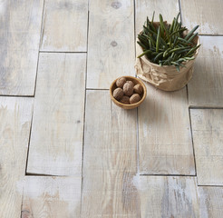 walnut and plants style