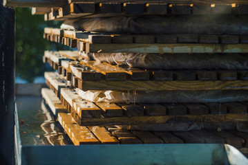 Naklejka premium Extracting apple juice manually, DIY press