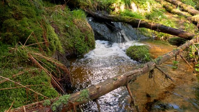 Fresh mountain stream