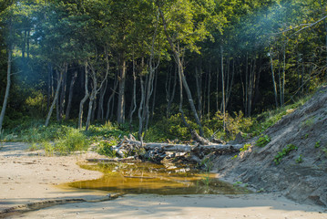 Secret spot with small stream, old log
