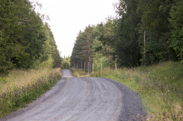 Fototapeta na wymiar Route forestière