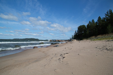 Wild nature beach in the Lahemaa National Park, Käsmu, on the horizon the island Kuradisaar, stormy, summer 
