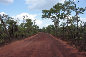 Fototapeta na wymiar Road Trip in Kakadu National Park, Northern Territory, Australia