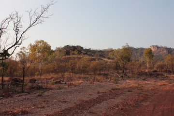 Red Earth and Golden Foliage of the Australian Outback in Kakadu National Park, Northern Territory
