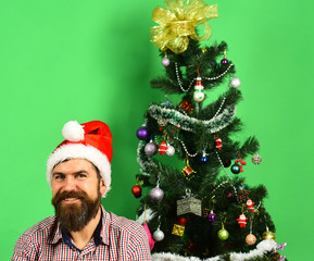 Santa sits near Christmas tree. Guy with happy cheerful face