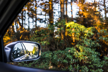 Side mirror of car vehicle parked on winter road by forest in autumn winter during sunrise with reflection, sunlight