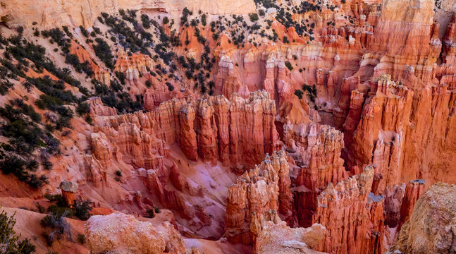 The famous Bryce Canyon National Park in Utah