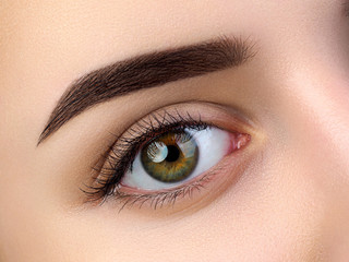 Close up view of beautiful brown female eye