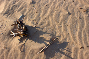 Sand. Beach dunes of Bologna, Tarifa, Spain.