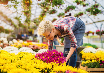 Beautiful worthy professional young short hair florist girls sorting flowers in the large modern...