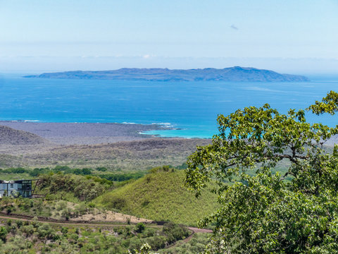 Tortuga Bay on Santa Cruz Island Galápagos Islands Ecuador 