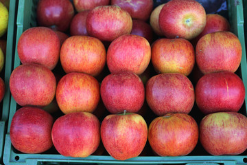 Apples in Crate