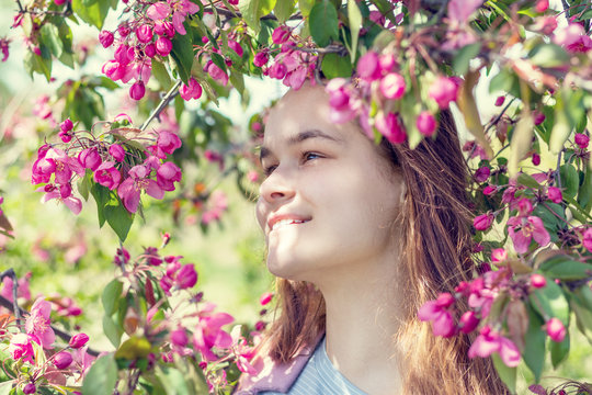 Young girl in an apple orchard in the springtime