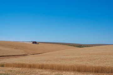 Tractor harvesting wheat in rural Washington 