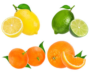 .Citrus Fruit Set (tangerine, orange, lime, lemon) isolated on white background.