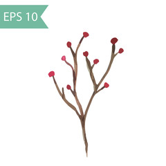 Fototapeta premium Vector watercolor branch with berries.