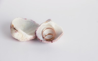couple wedding rings decorated with sea shells on white background