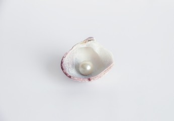 one single pearl in a sea shell isolated
