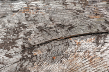Front view of old grey wood background or texture. Copy space. Place for text. graphical resource