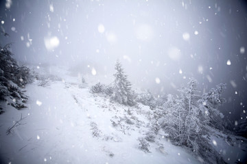 Trees covered with hoarfrost and snow in winter mountains - Christmas snowy backgroundic holiday background