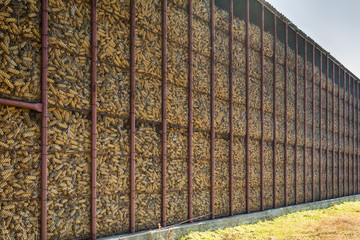 garner for corn © nedomacki