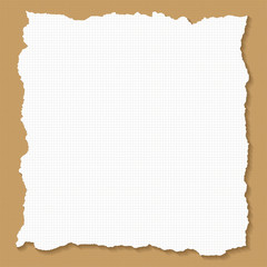 Vector illustration of torn paper canvas design in square format
