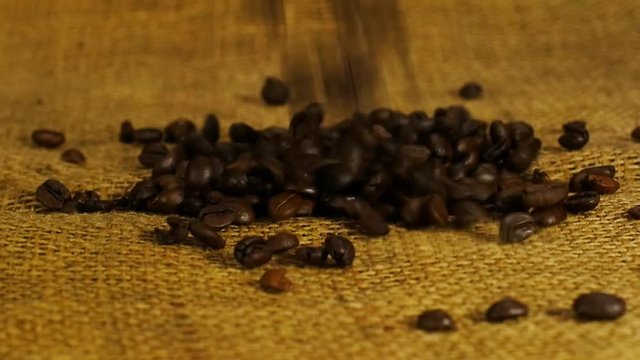 Fresh coffee beans poured into a heap on a burlap sack