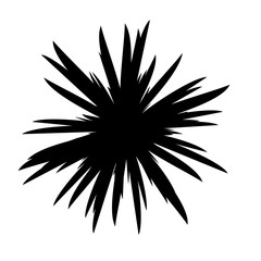 Black and White Flowers Silhouette