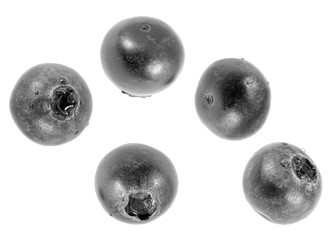 Falling bilberries isolated on white background. Black and white.