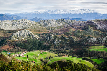 Picos de Europa Mountain Range landscape with a green field in the front and mountains covered by snow at the end