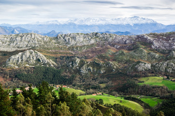 Fototapeta na wymiar Picos de Europa Mountain Range landscape with a green field in the front and mountains covered by snow at the end